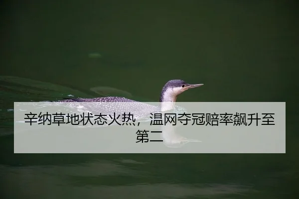 辛纳草地状态火热，温网夺冠赔率飙升至第二